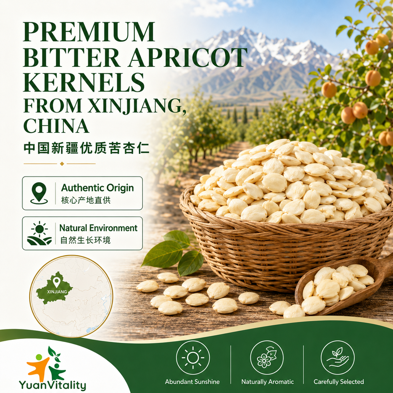 Peeled Bitter Apricot Kernels