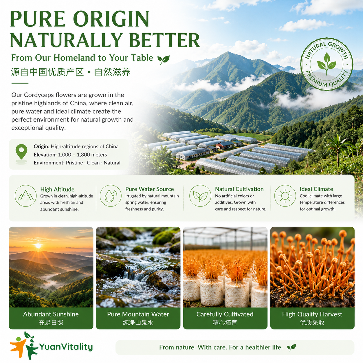 Cordyceps Flower