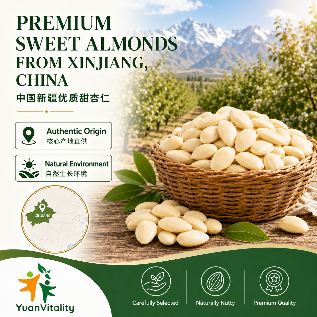 Peeled Sweet Apricot Kernels