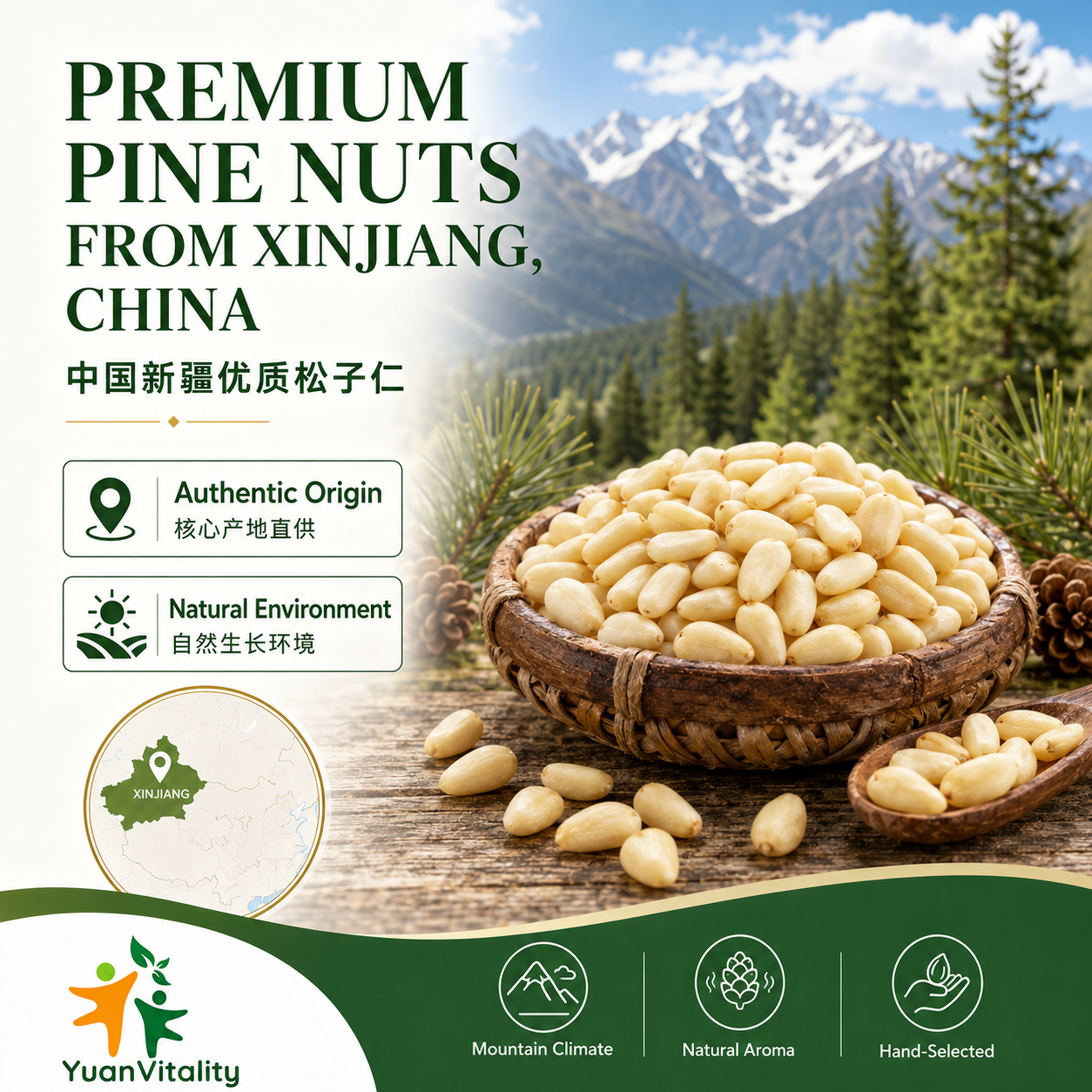 Pine Nuts
