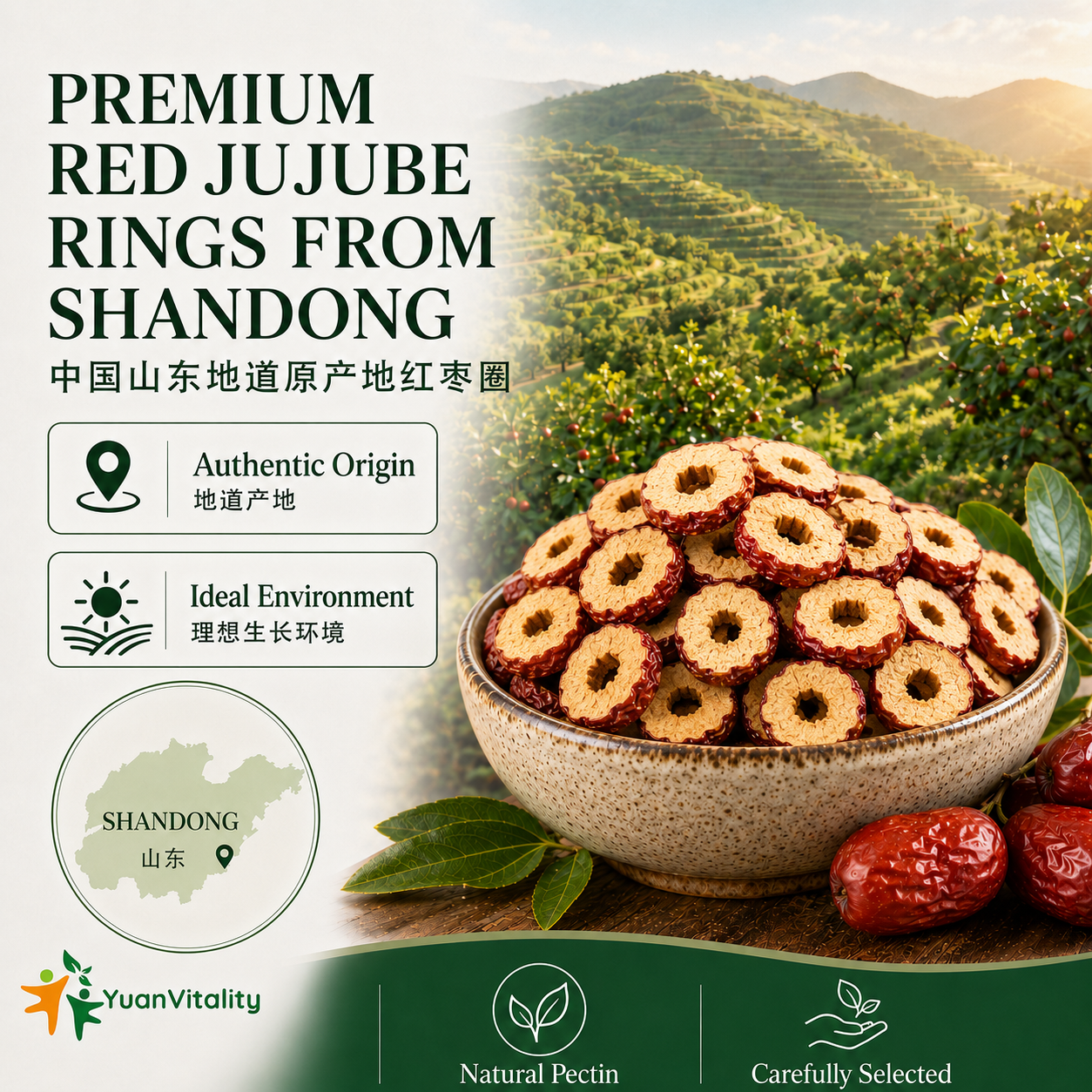 Jujube rings