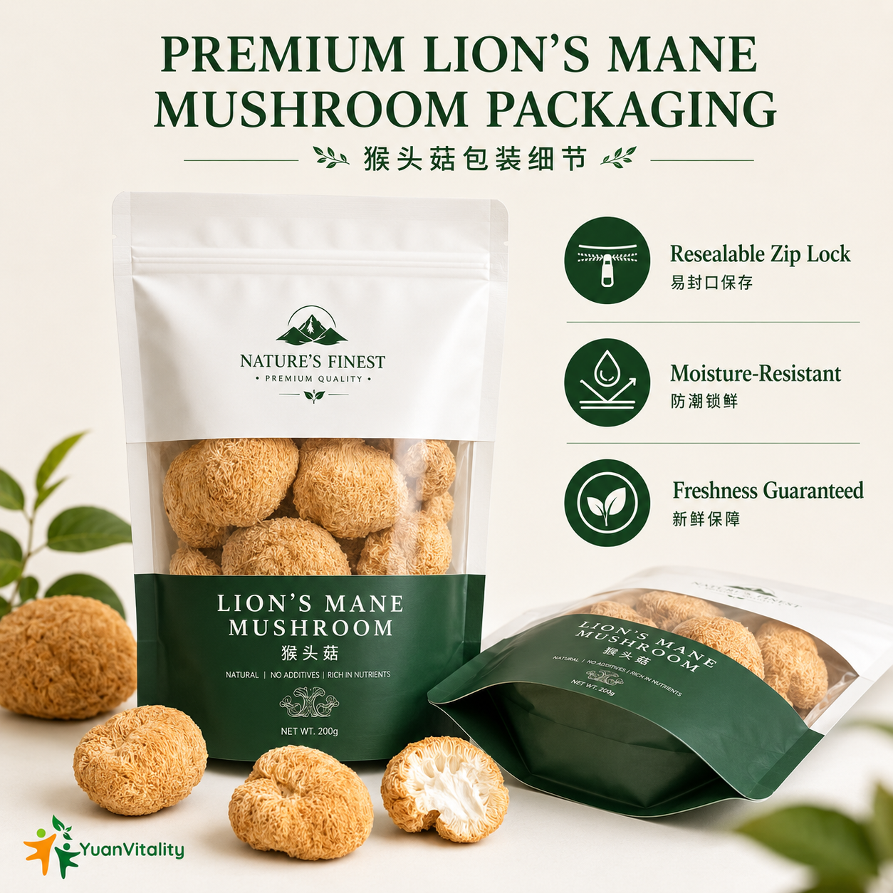 Premium Lion’s Mane Mushrooms