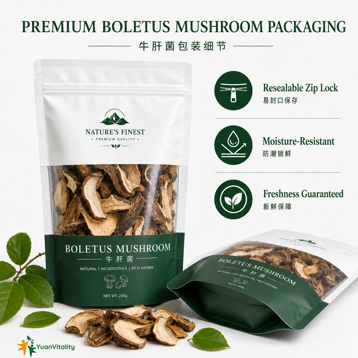 Porcini Mushrooms
