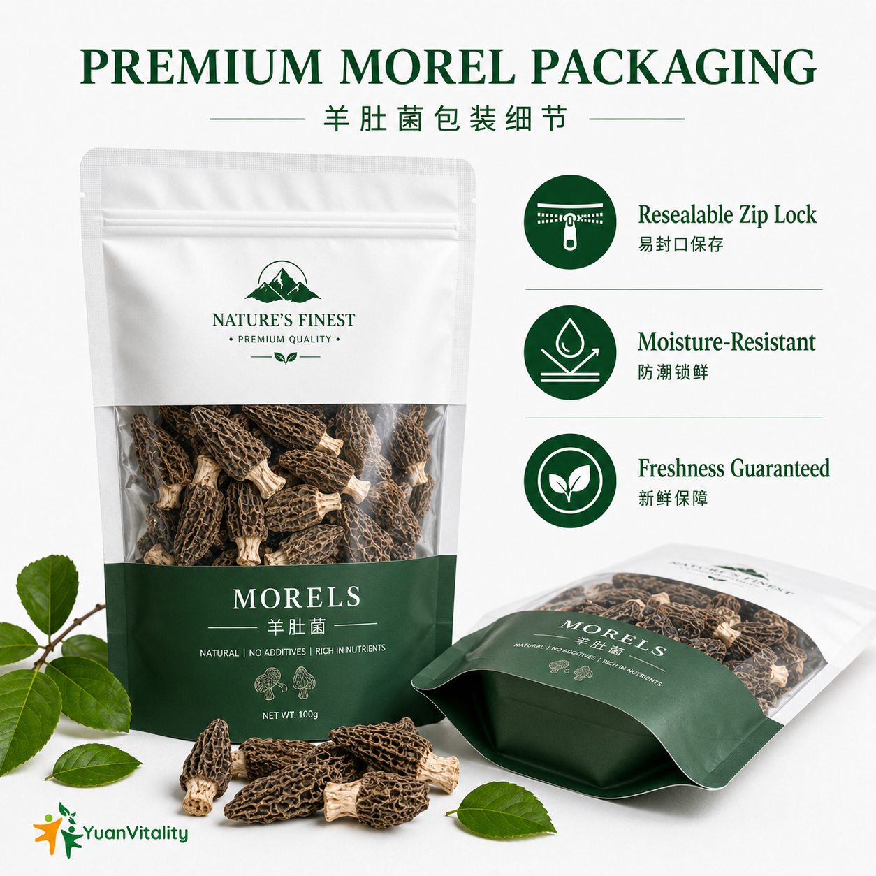 Morel Mushrooms