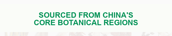 Sourced from China's core botanical regions